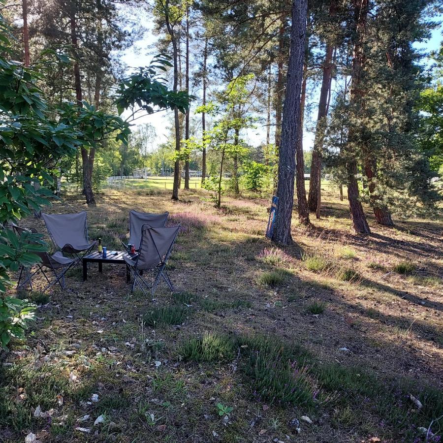 Camping Onlycamp Les Pins Nancay Εξωτερικό φωτογραφία